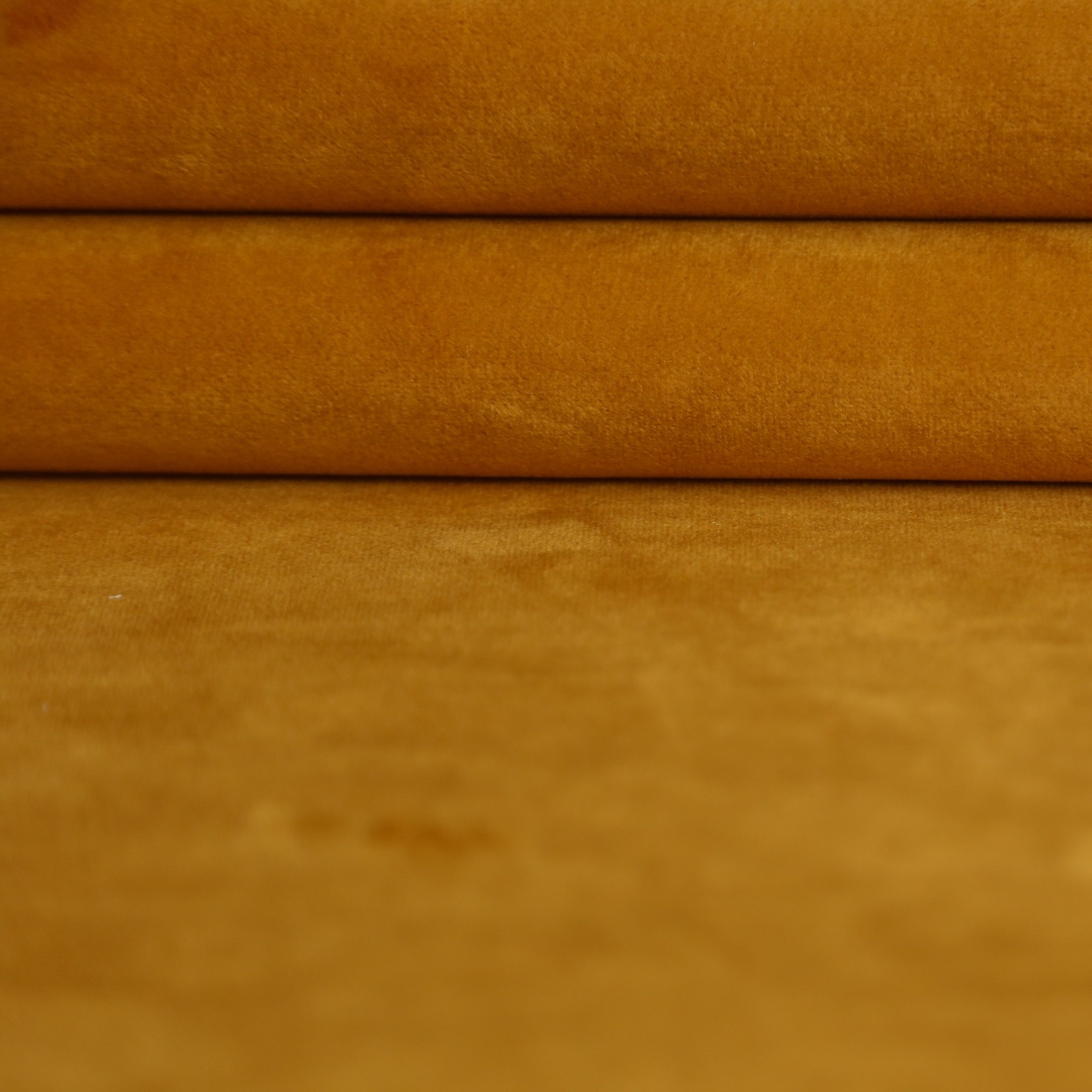AMSTEDRAM – MUSTARD
